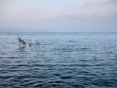 טיפים לצילומי ים ומים