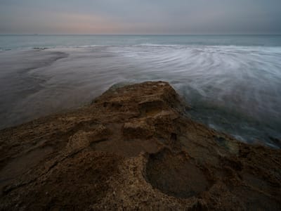 שתי גישות לטיפול בנוף