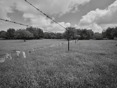 חשיבות הצמצם בצילומי נוף