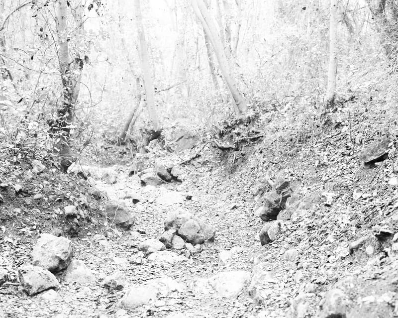 הרצאה בנושא: הקשר בין נוף אומנות ושחור לבן