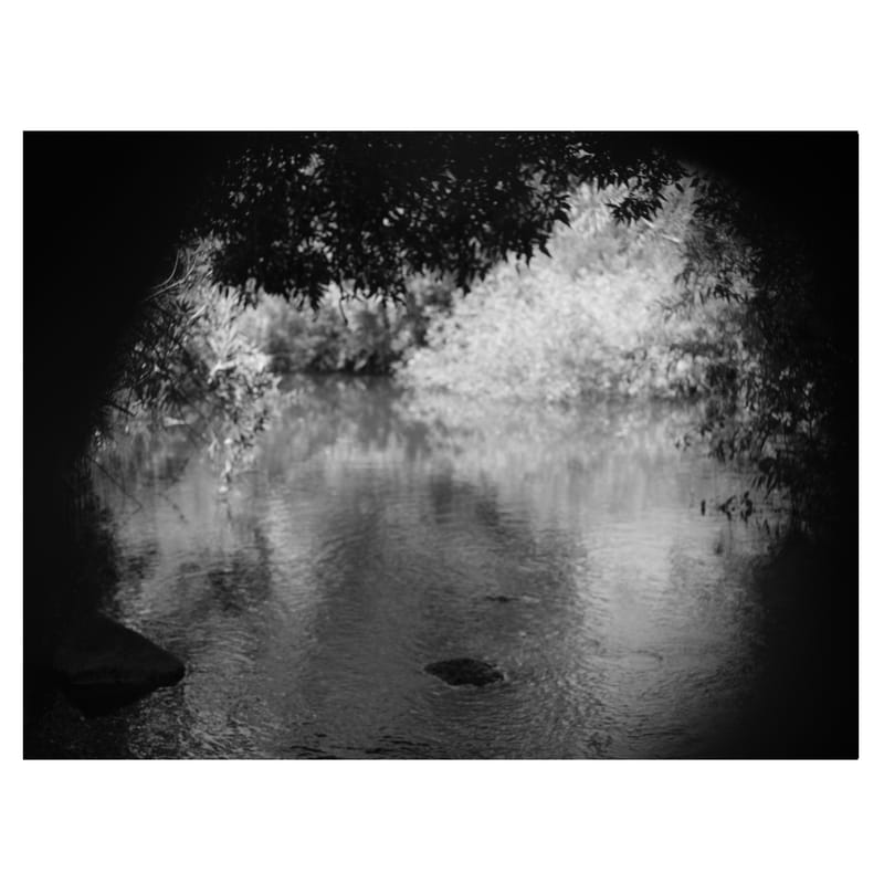 הרצאה באומנות - מועדון הצילום נס ציונה