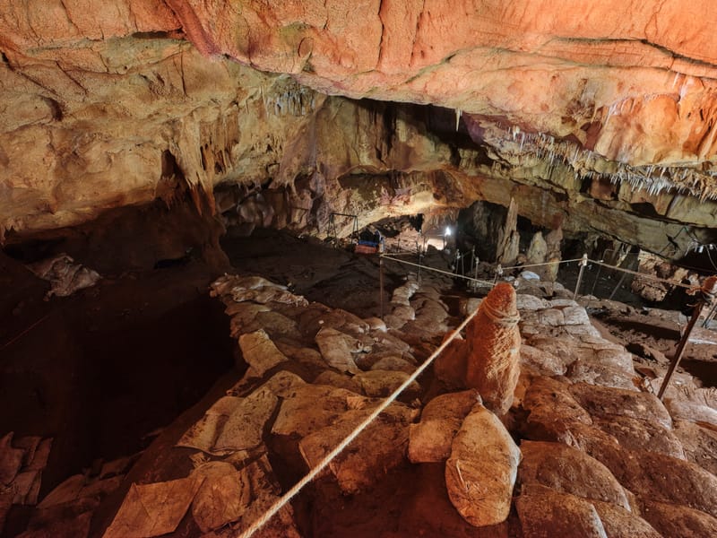 המחלקה לחקר האדם הקדמון