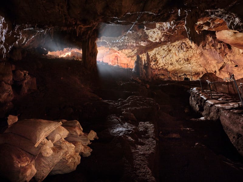 המחלקה לחקר האדם הקדמון