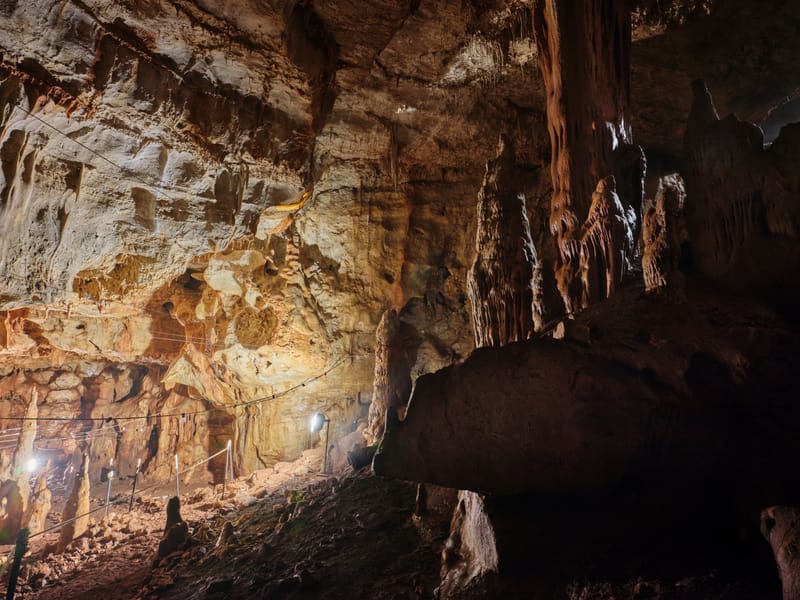 המחלקה לחקר האדם הקדמון