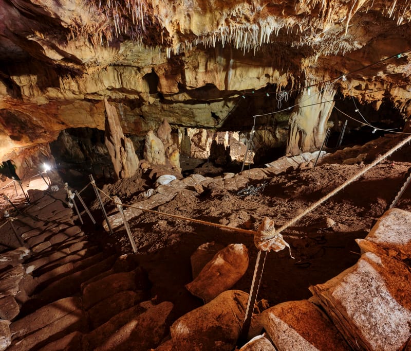 המחלקה לחקר האדם הקדמון