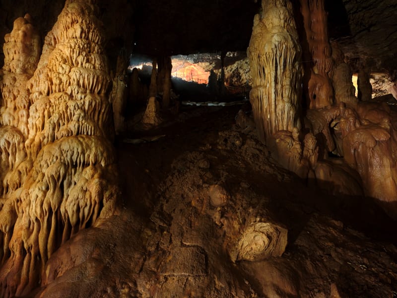 המחלקה לחקר האדם הקדמון