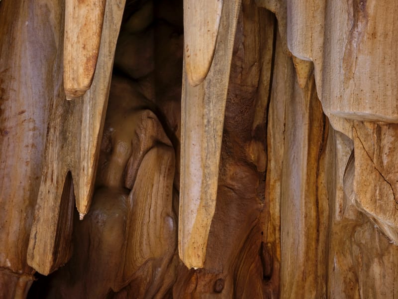 המחלקה לחקר האדם הקדמון