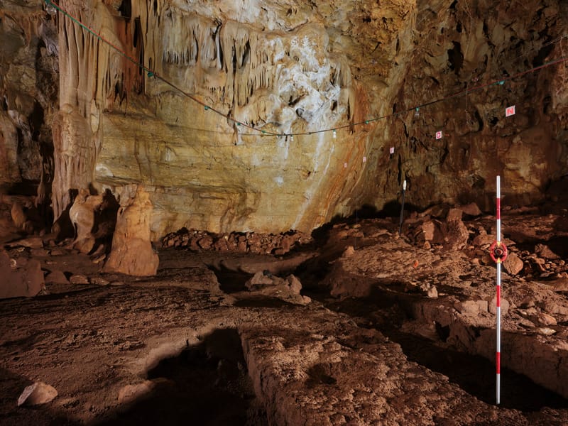 המחלקה לחקר האדם הקדמון