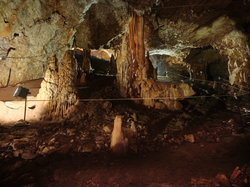 המחלקה לחקר האדם הקדמון