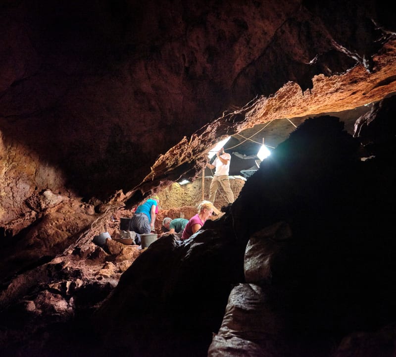 המחלקה לחקר האדם הקדמון