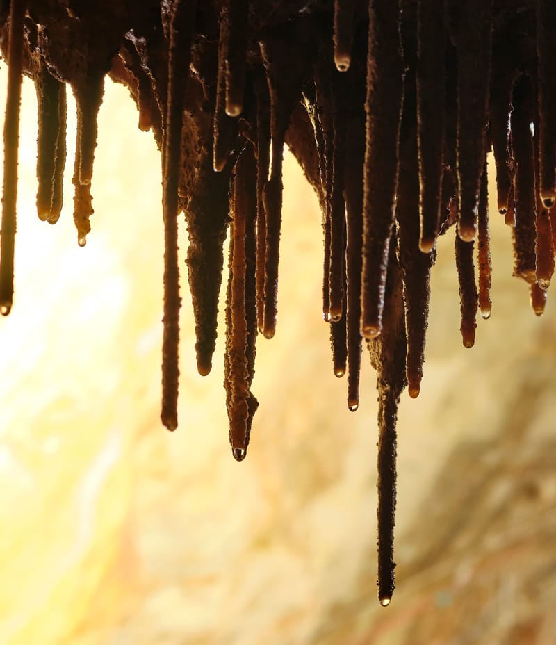 המחלקה לחקר האדם הקדמון