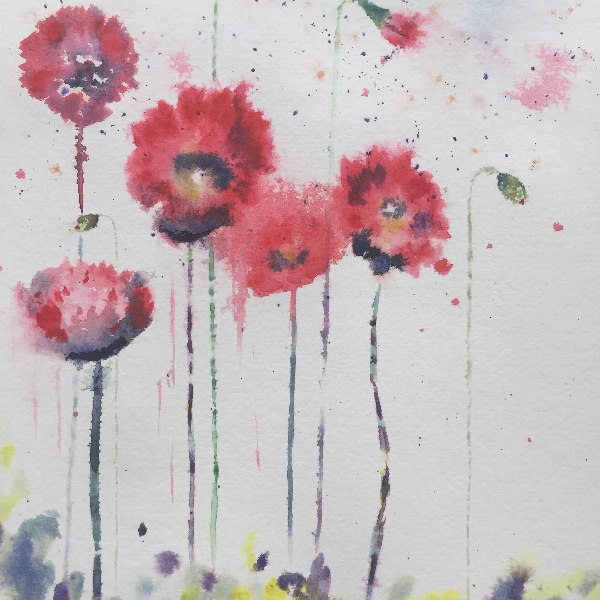 Poppies
