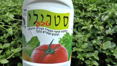 כשרות סטרילי לפסח