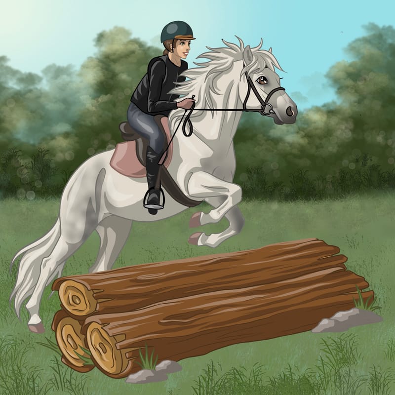 Réalisation entière