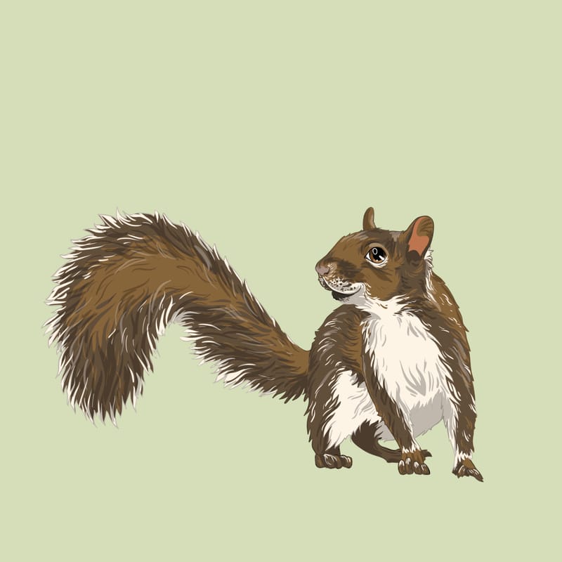 Réalisation entière