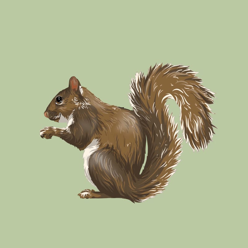 Réalisation entière