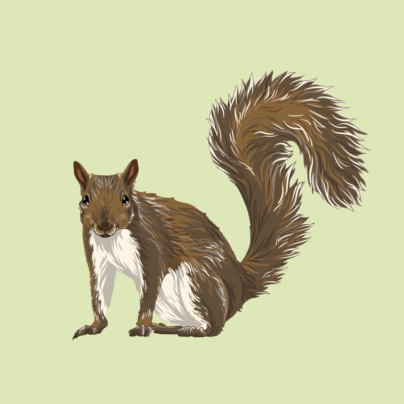 Réalisation entière