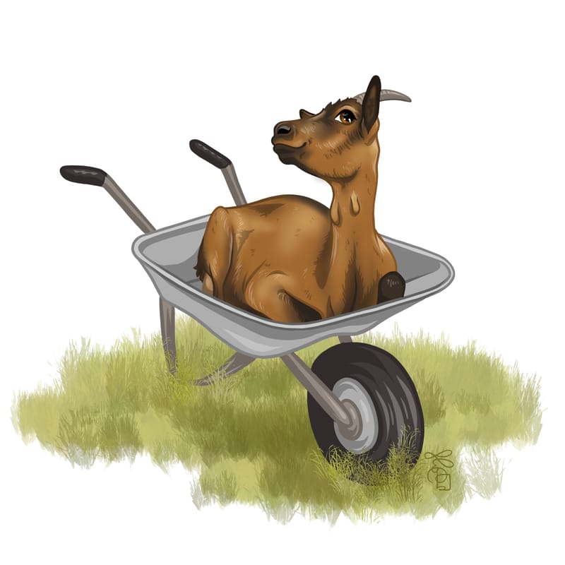 Réalisation entière