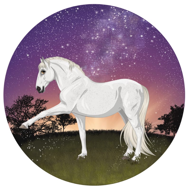 Réalisation entière