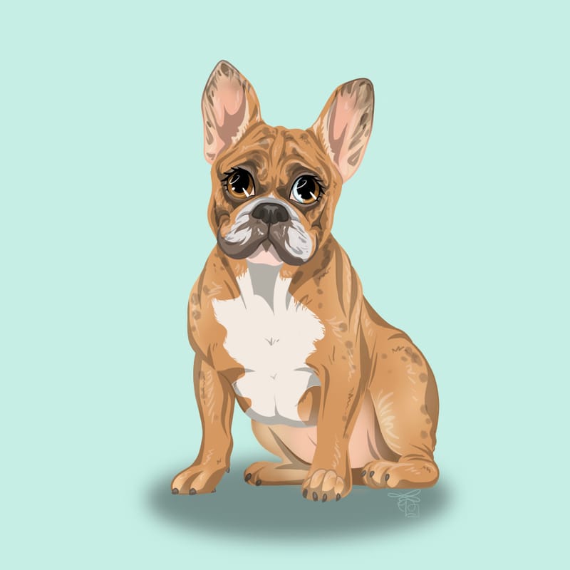 Réalisation entière