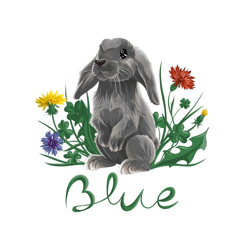 Réalisation entière