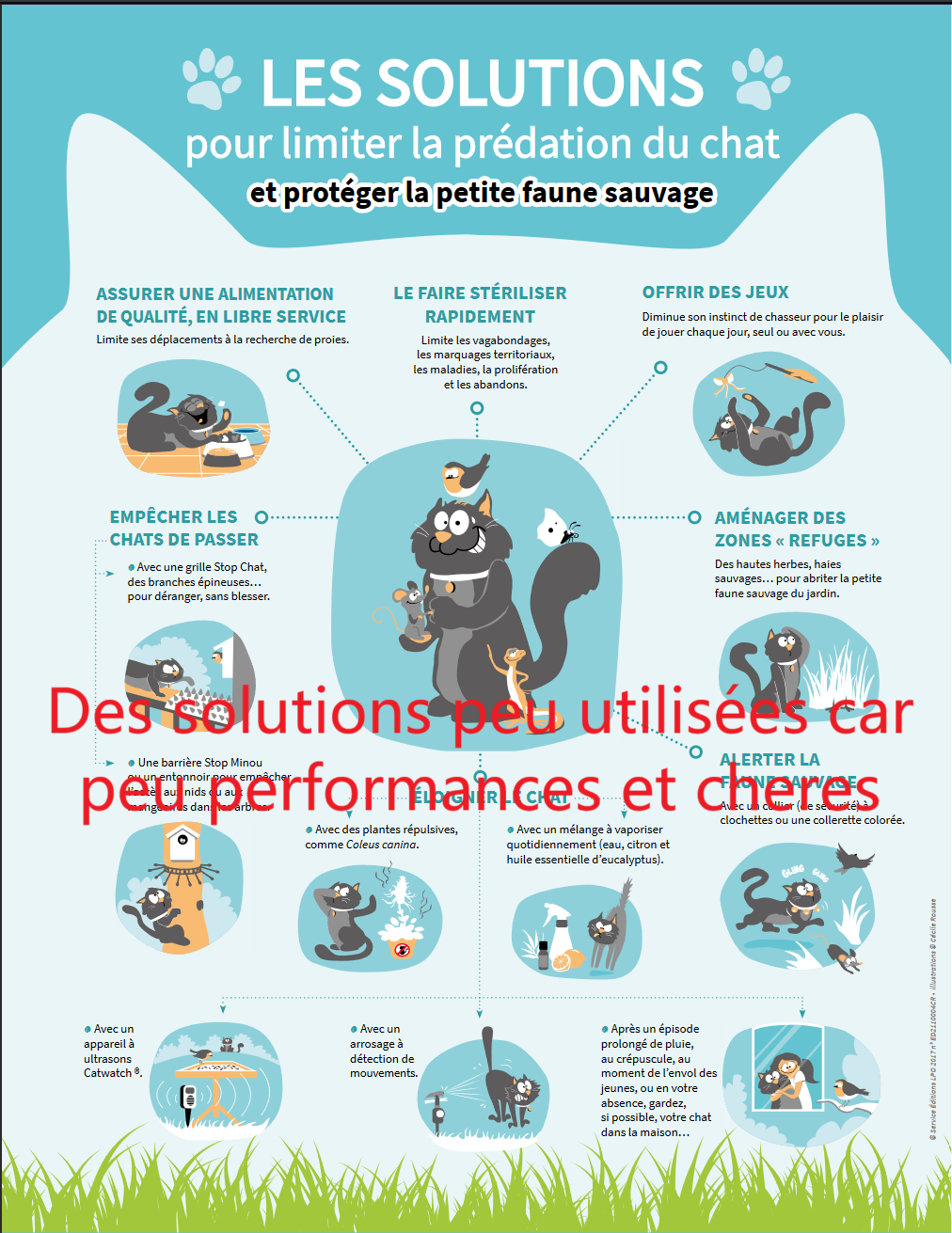 Action lancée pour les propriétaires de chats