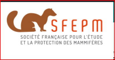 Enquête  de la SFEPM sur la prédation des chats