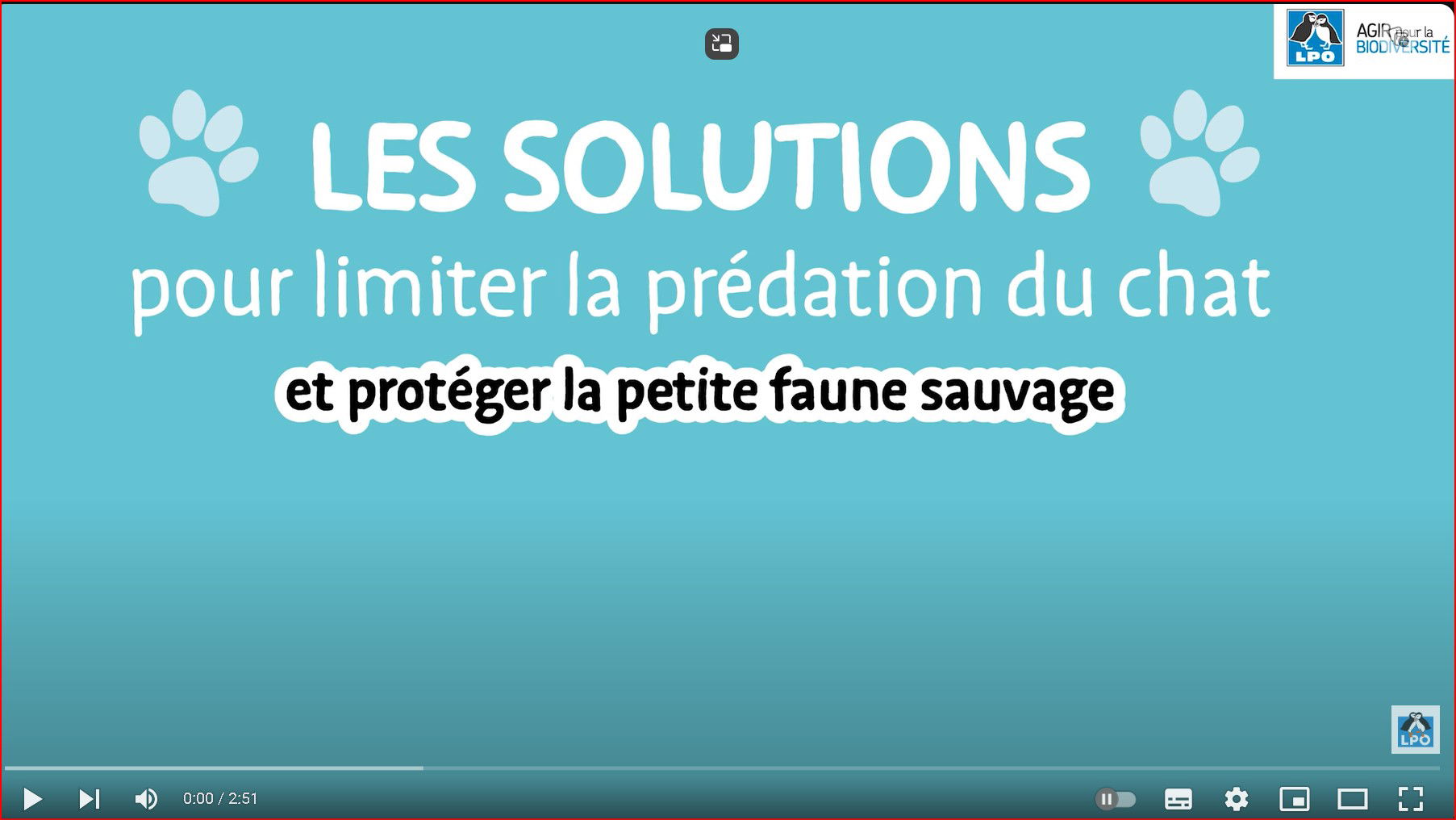 LPO et solutions bis