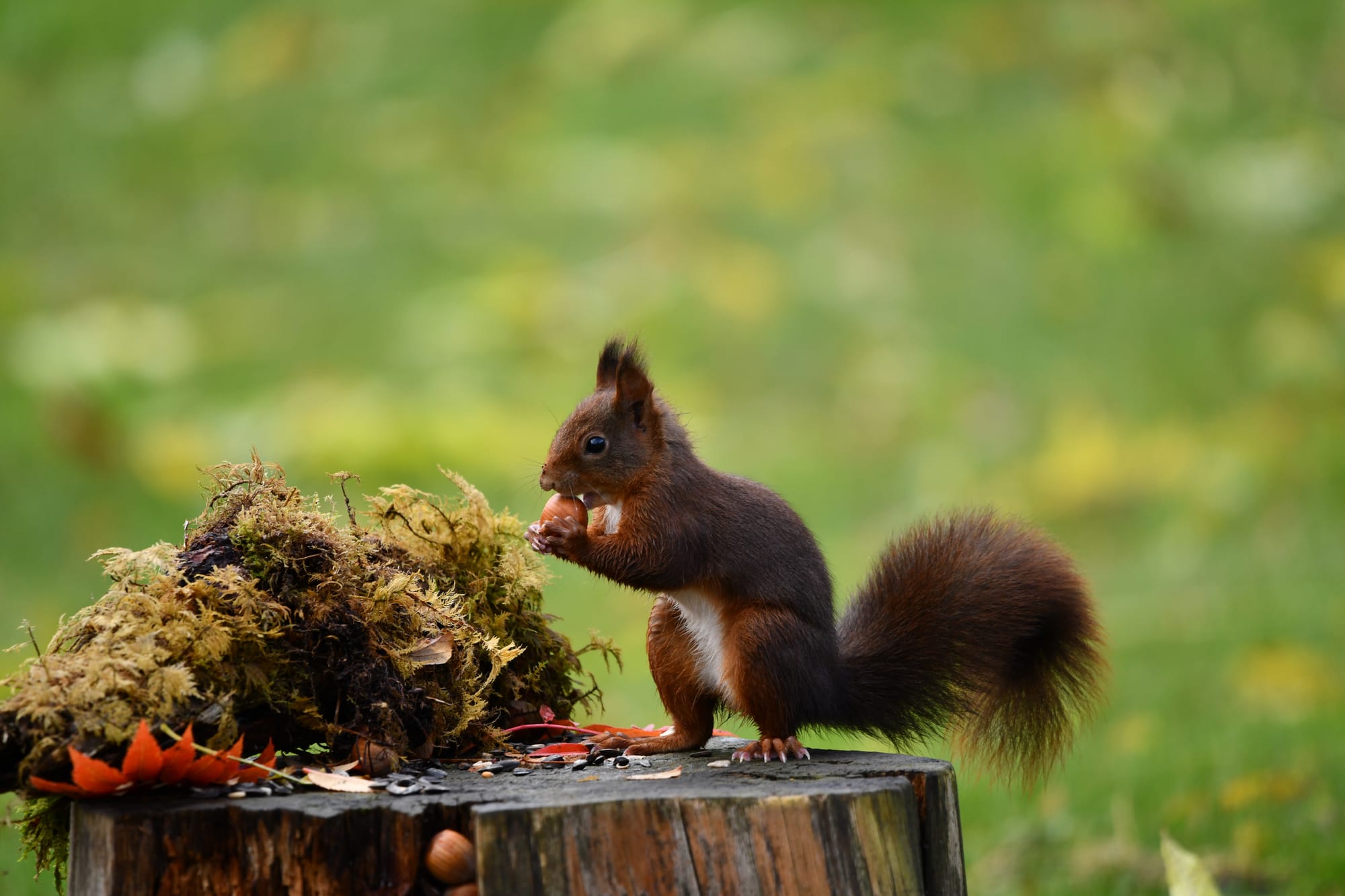 Ou trouver à manger en Janvier ou février ?