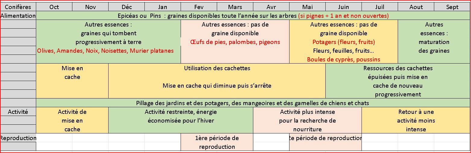 Aliments et activités