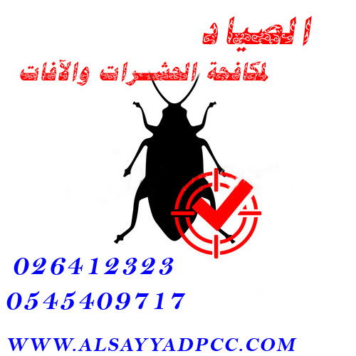 شركة مكافحة الحشرات في الرويس