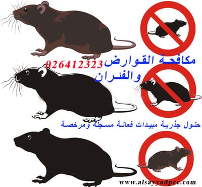 شركة الصياد لمكافحة القوارض