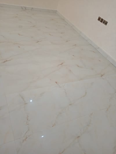 شركة مكافحة حشرات