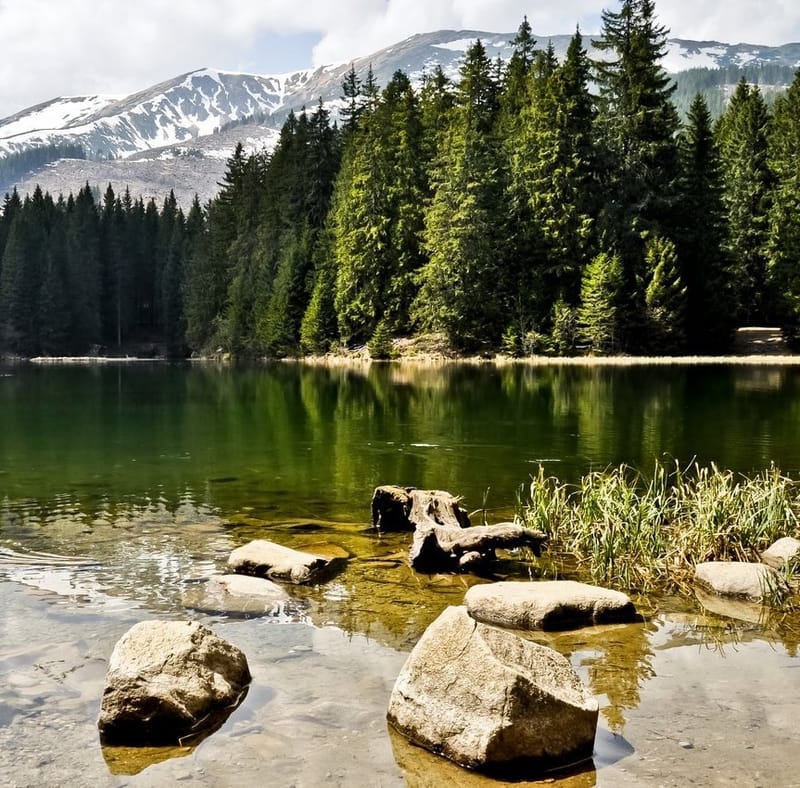 האגם הנעלם Vrbicke Pleso