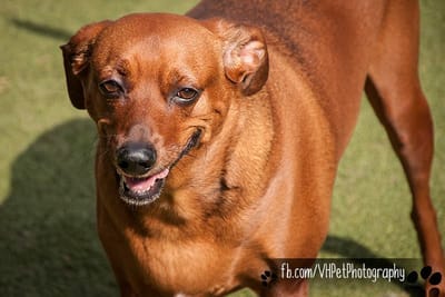 hAVE A GREAT DAY. NEED A LIFT CALL OLE DAVE. WE APPRECIATE YOUR BUSINESS image