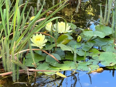 C’est arrivé un lundi….