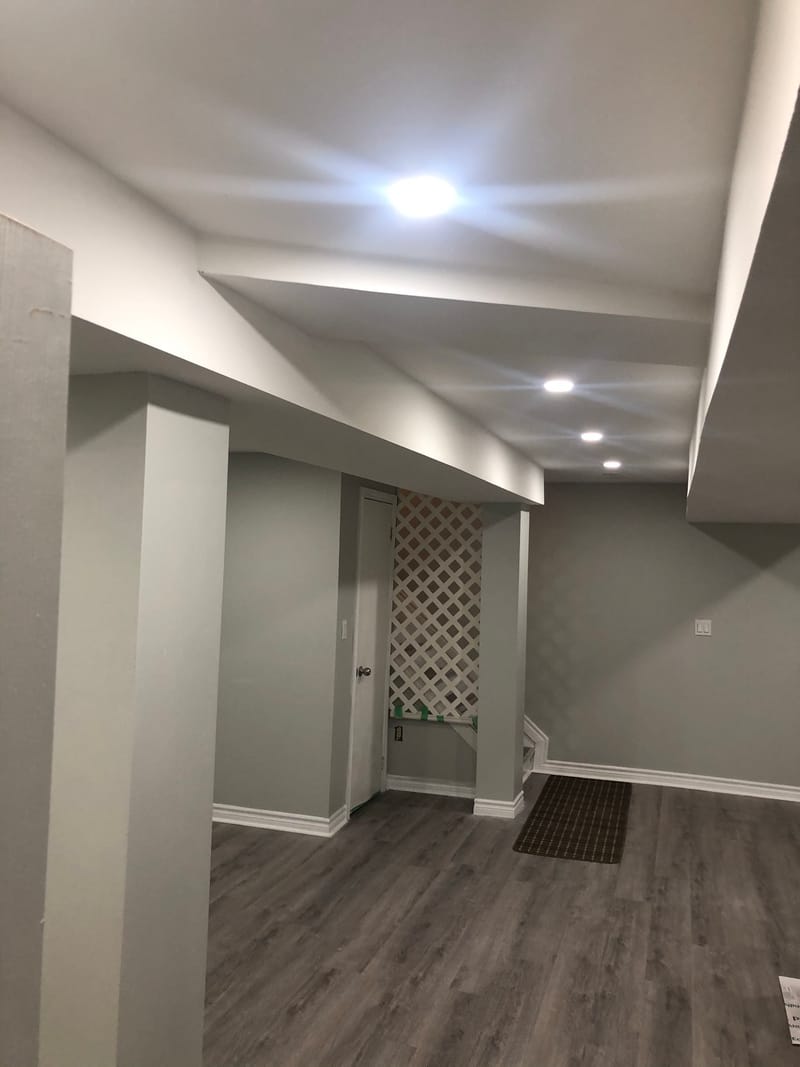 Basement Renovation