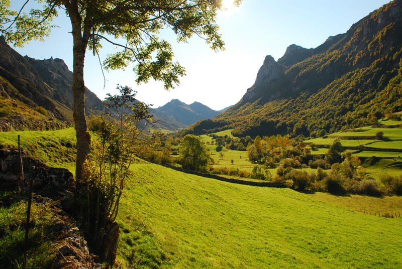 Mar y Montaña