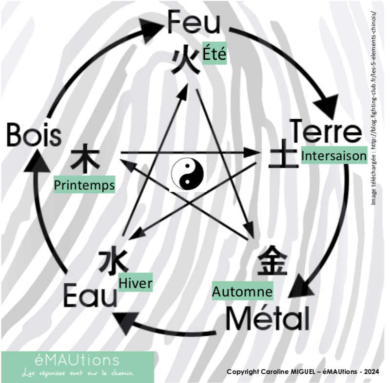 QU'EST CE QUE le QI ? Et pourquoi est-il si important en naturopathie ?