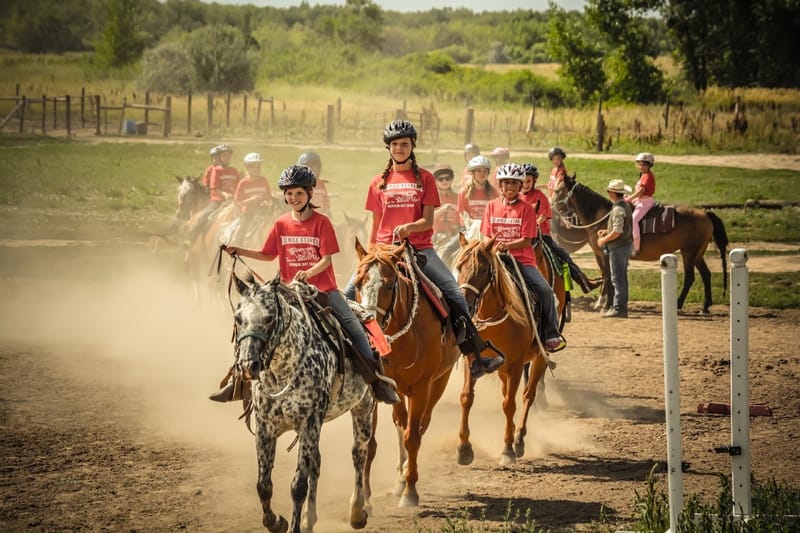12 Mile Stables