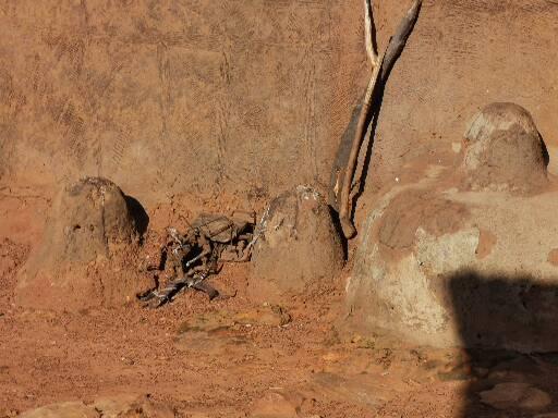 Pays Somba et les fameuses "Tata Somba"