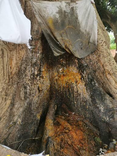 Lieux et objets vodoun