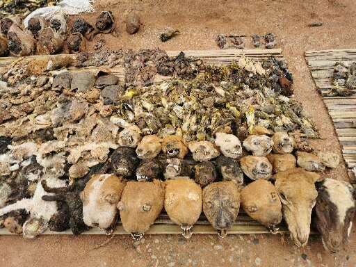 Lieux et objets vodoun