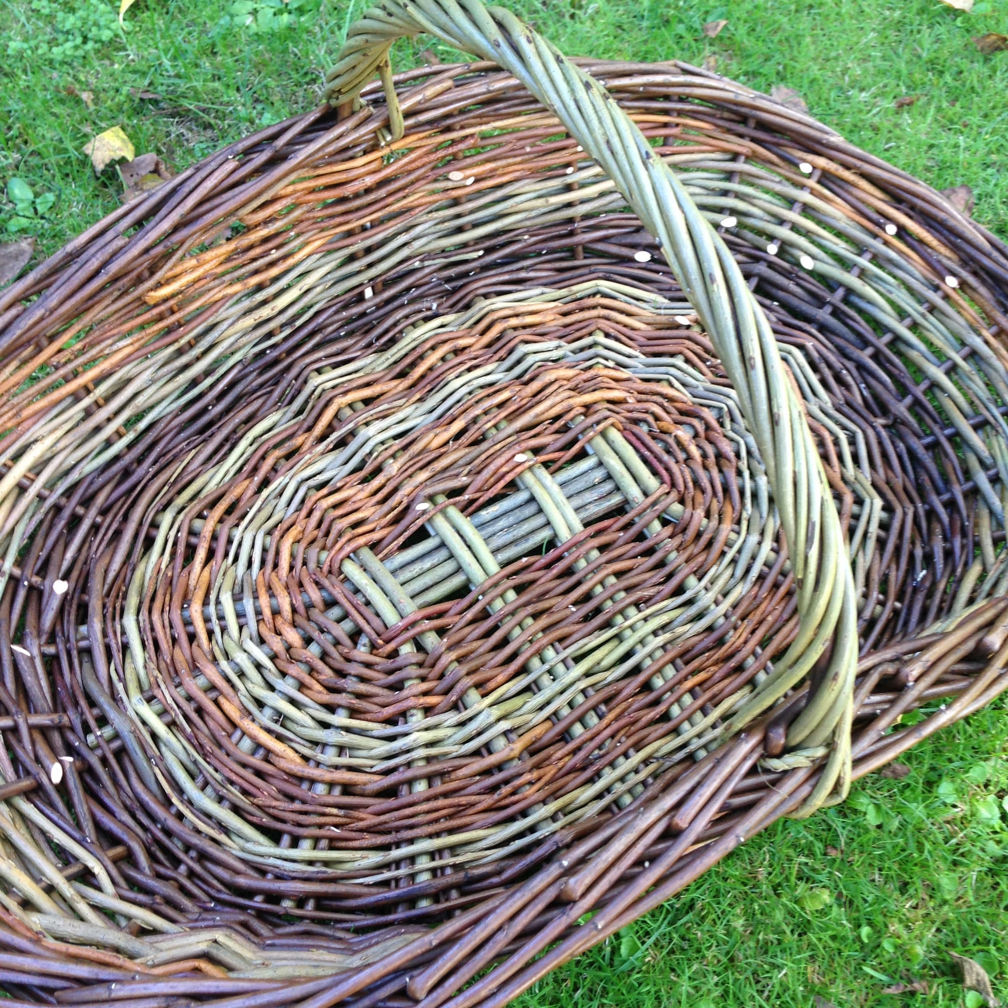 Coloured basket