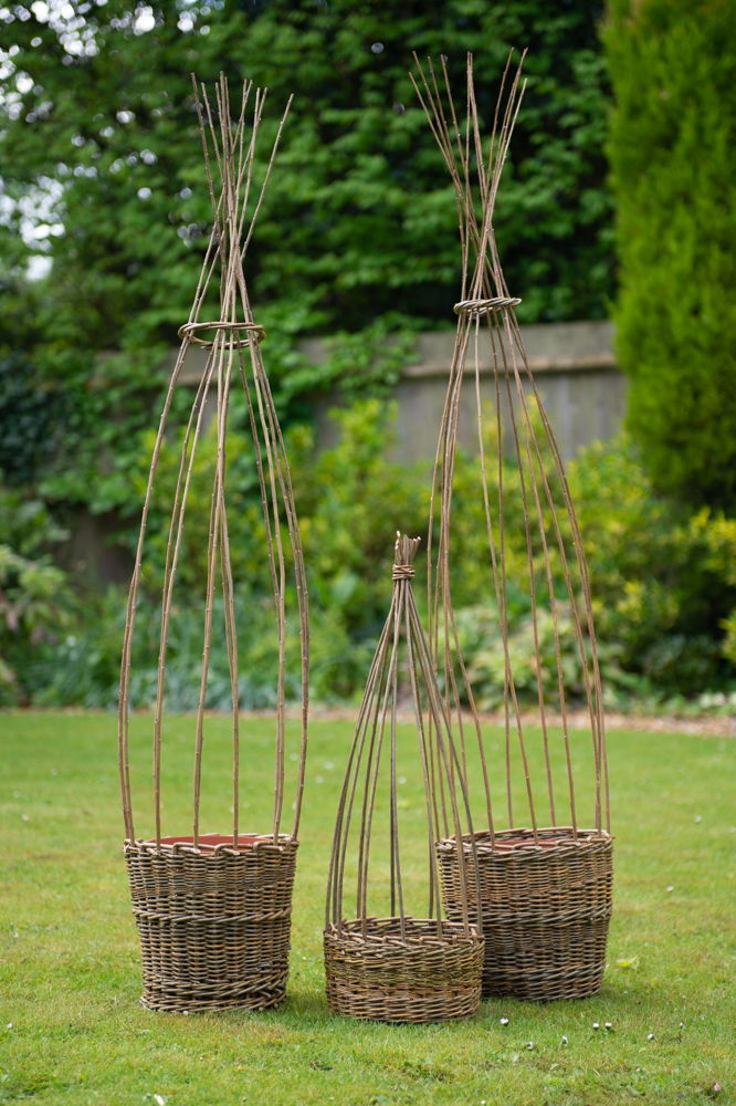 Sweet Pea Planters