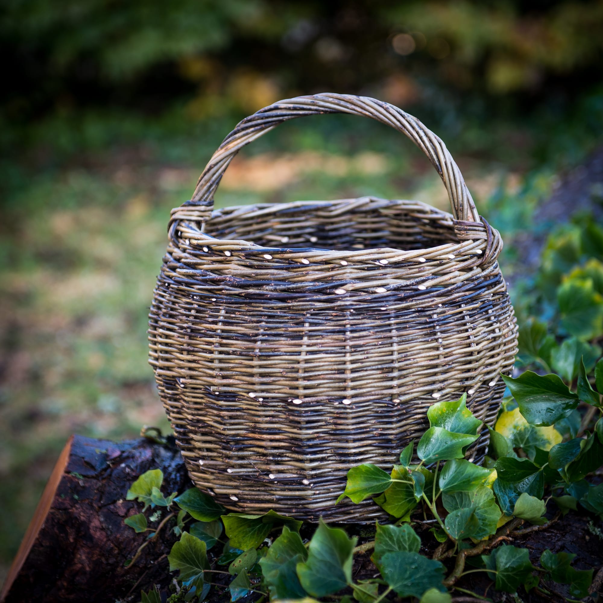 Globe Basket