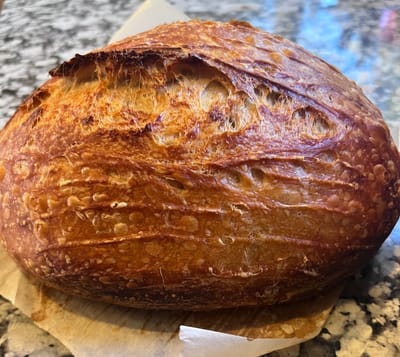 Sourdough saga