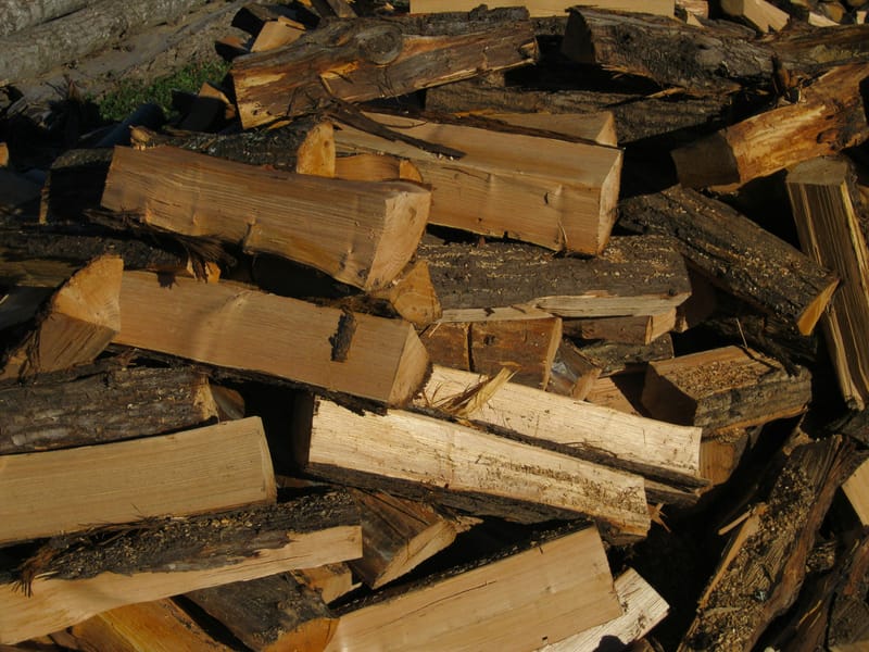 Coupes de bois sur pied