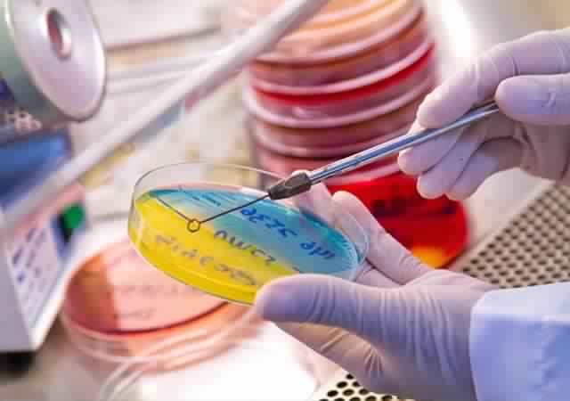 Medical Microbiology