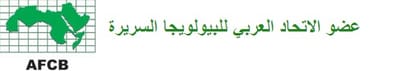 About    -   من نحن image
